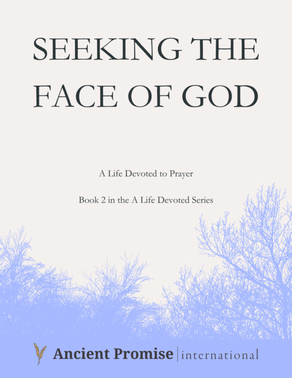 Seeking the Face of God - PDF Download