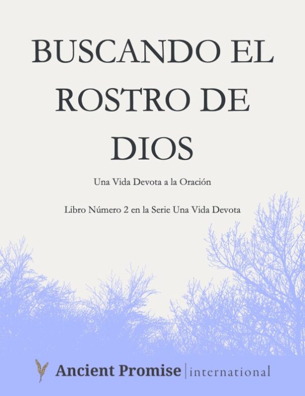 Buscando el Rostro de Dios - Libro Encuadernado en Espiral