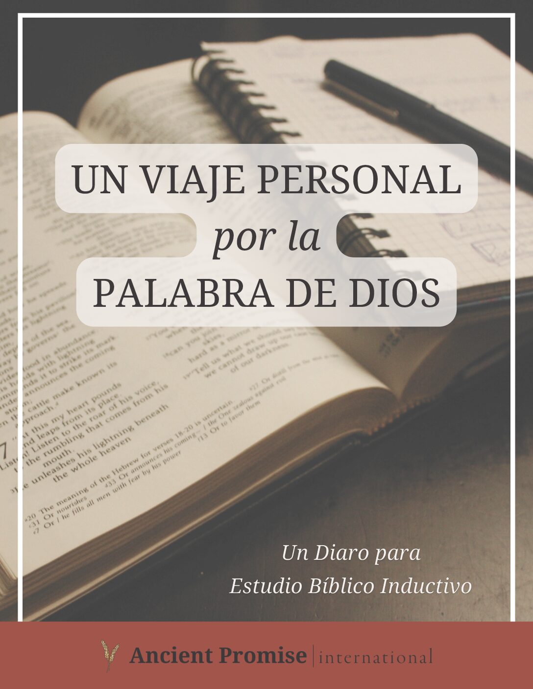 Un Viaje Personal por la Palabra de Dios - Descarga de PDF